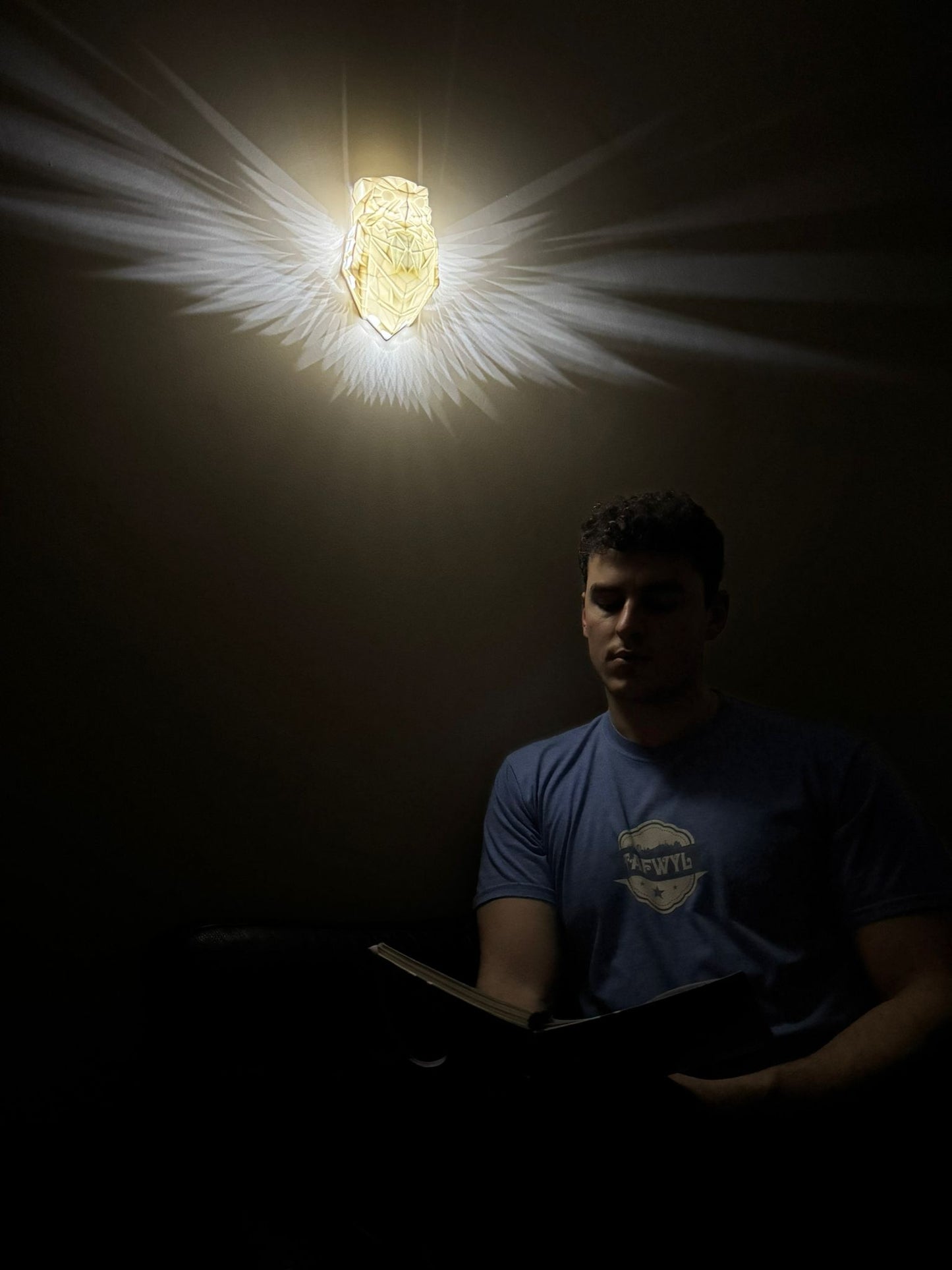 Bird Wall Lamp