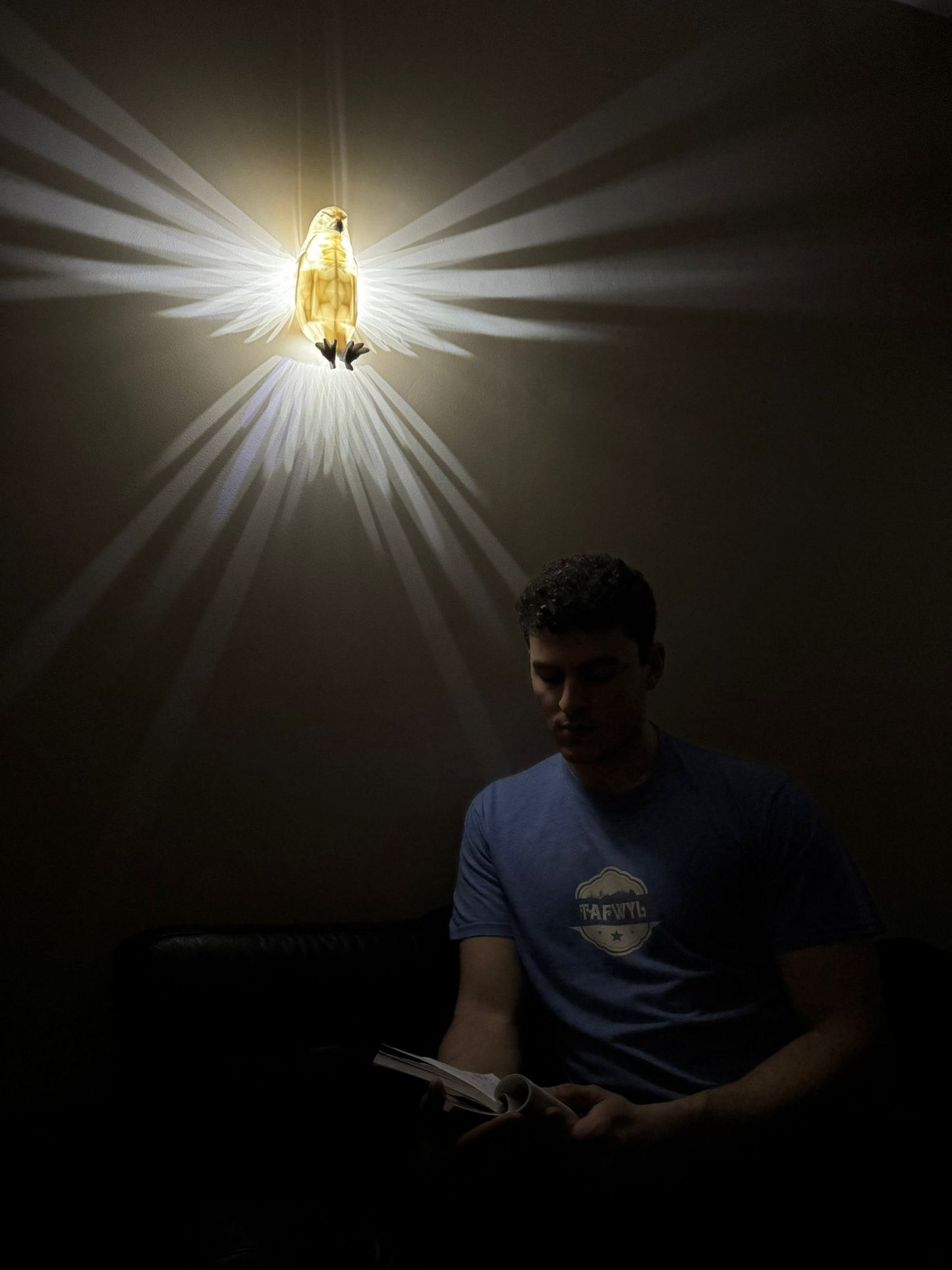 Bird Wall Lamp